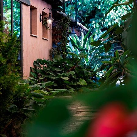 Zimmer & Spa Kesem Hamaga Bethlehem of Galilee 外观 照片
